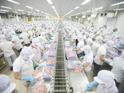 Anvifish: Cơ hội từ tự chủ nguồn nguyên liệu